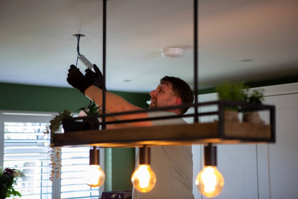 Best Electrician Near Me  in Frazee, MN