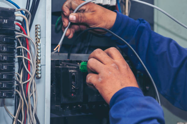 Best Home Electrical Repair  in Frazee, MN