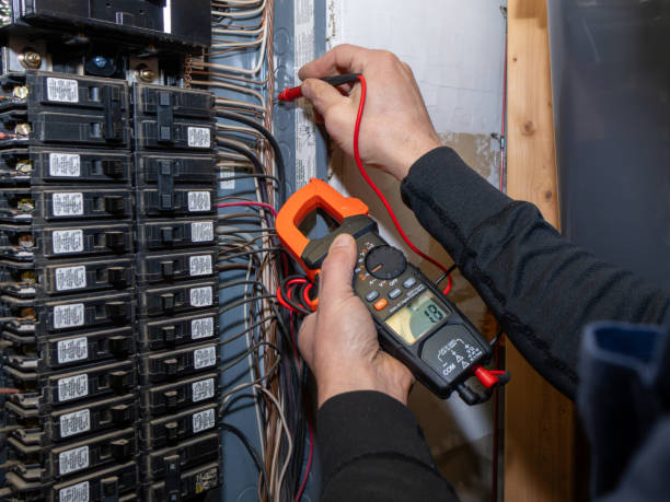 Best Electrician for Home Renovation  in Frazee, MN
